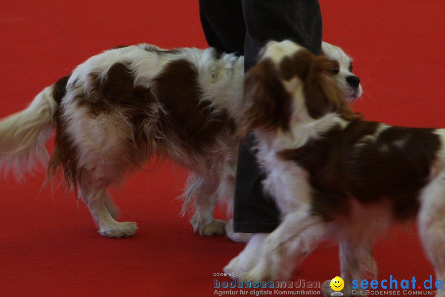 HUND|2012 - Die Schweizer Hundefachmesse in Winterthur, 05.02.2012