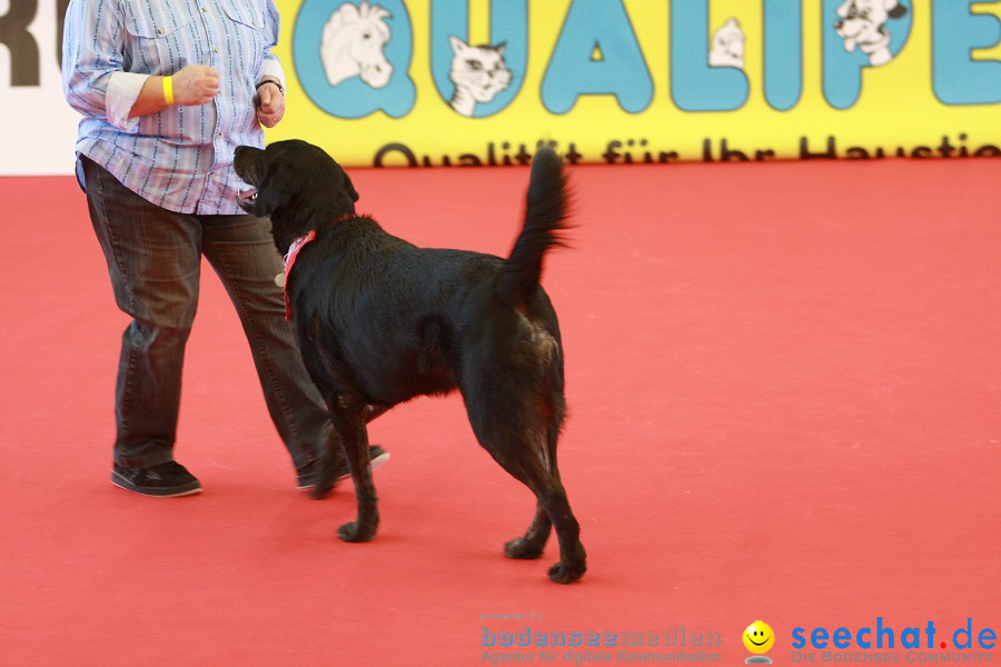 HUND|2012 - Die Schweizer Hundefachmesse in Winterthur, 05.02.2012