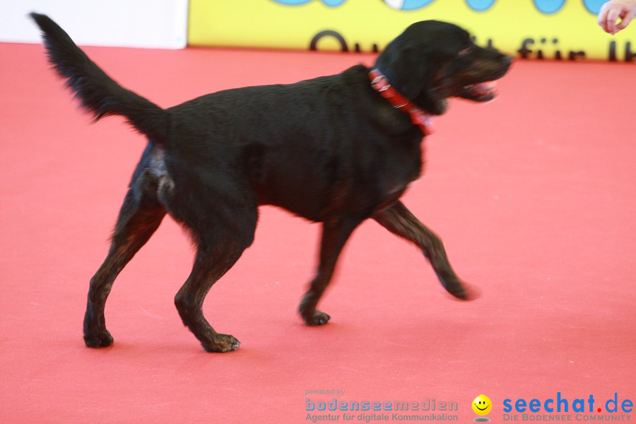 HUND|2012 - Die Schweizer Hundefachmesse in Winterthur, 05.02.2012