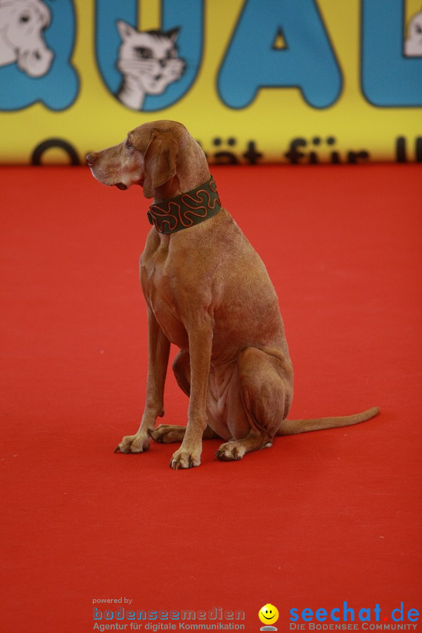 HUND|2012 - Die Schweizer Hundefachmesse in Winterthur, 05.02.2012