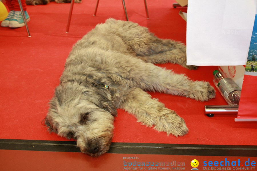 HUND|2012 - Die Schweizer Hundefachmesse in Winterthur, 05.02.2012