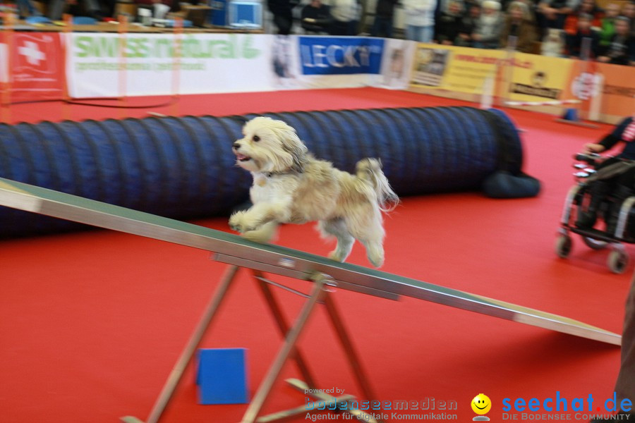 HUND|2012 - Die Schweizer Hundefachmesse in Winterthur, 05.02.2012