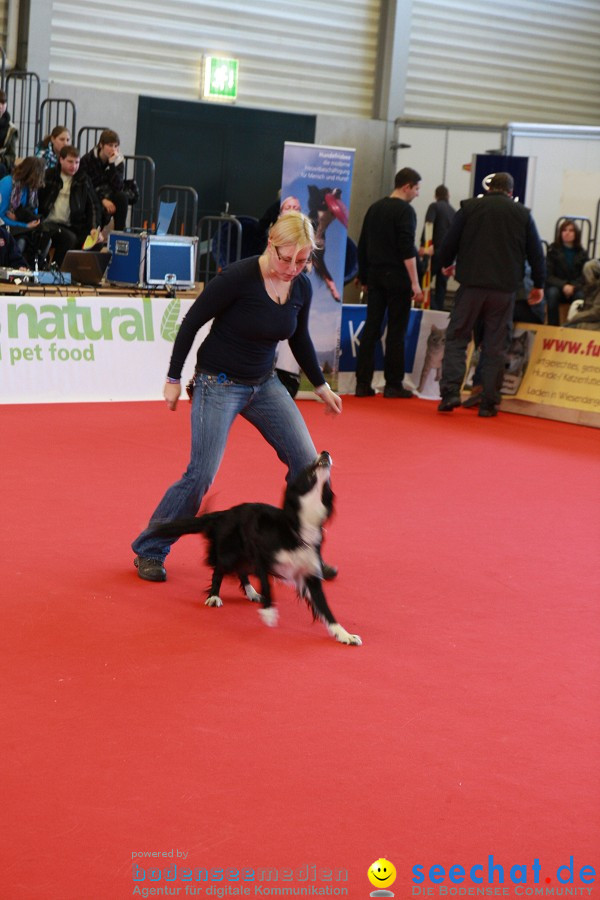 HUND|2012 - Die Schweizer Hundefachmesse in Winterthur, 05.02.2012