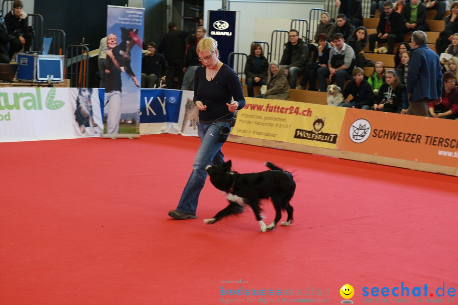 HUND|2012 - Die Schweizer Hundefachmesse in Winterthur, 05.02.2012