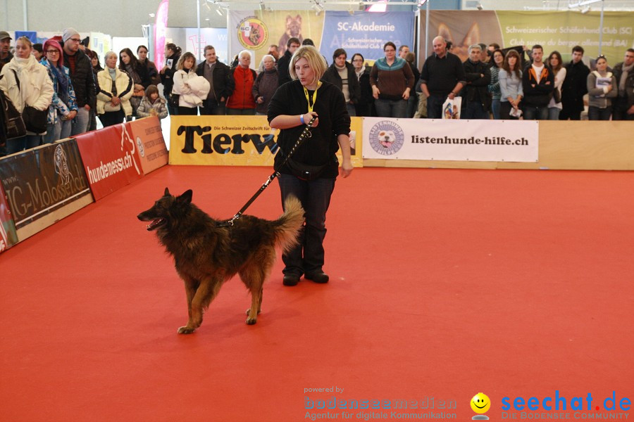 HUND|2012 - Die Schweizer Hundefachmesse in Winterthur, 05.02.2012