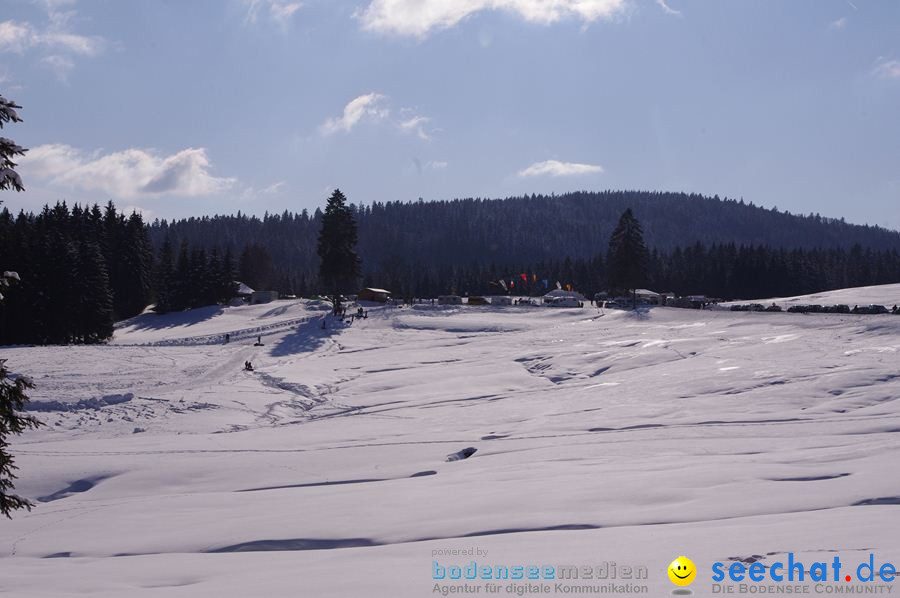 Schlittenhunderennen 2012: Bernau im Schwarzwald, 04.02.2012