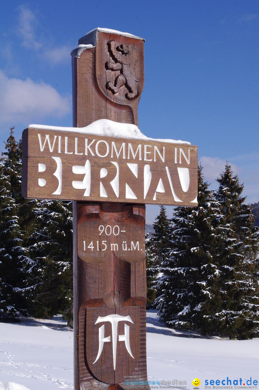 Schlittenhunderennen 2012: Bernau im Schwarzwald, 04.02.2012