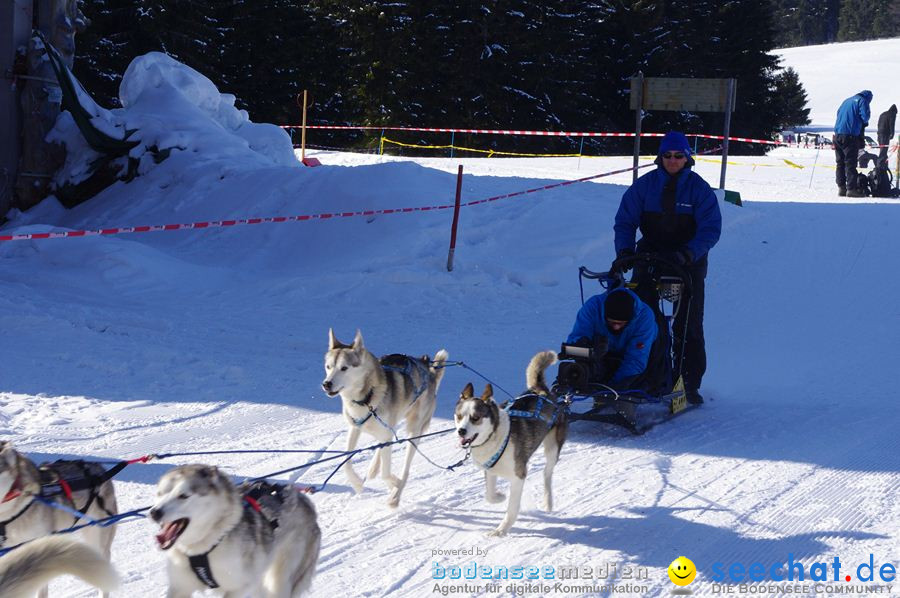 Schlittenhunderennen 2012: Bernau im Schwarzwald, 04.02.2012