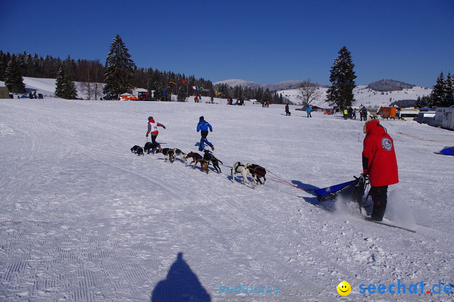 Schlittenhunderennen 2012: Bernau im Schwarzwald, 04.02.2012