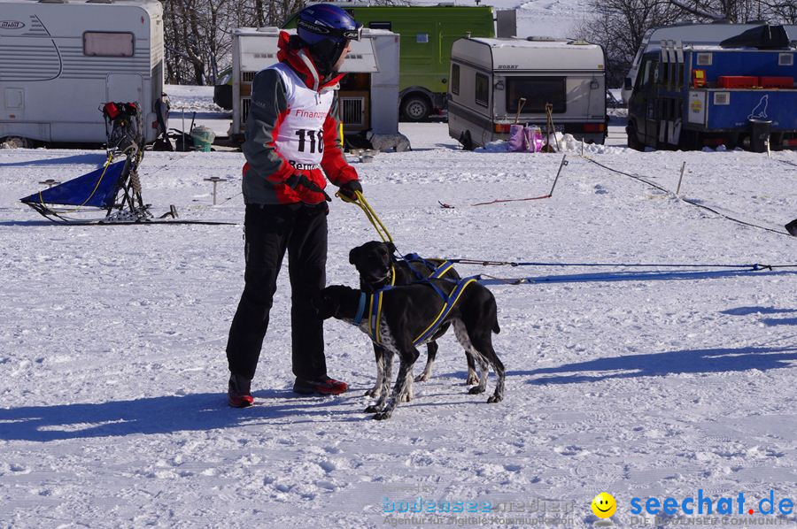 Schlittenhunderennen 2012: Bernau im Schwarzwald, 04.02.2012