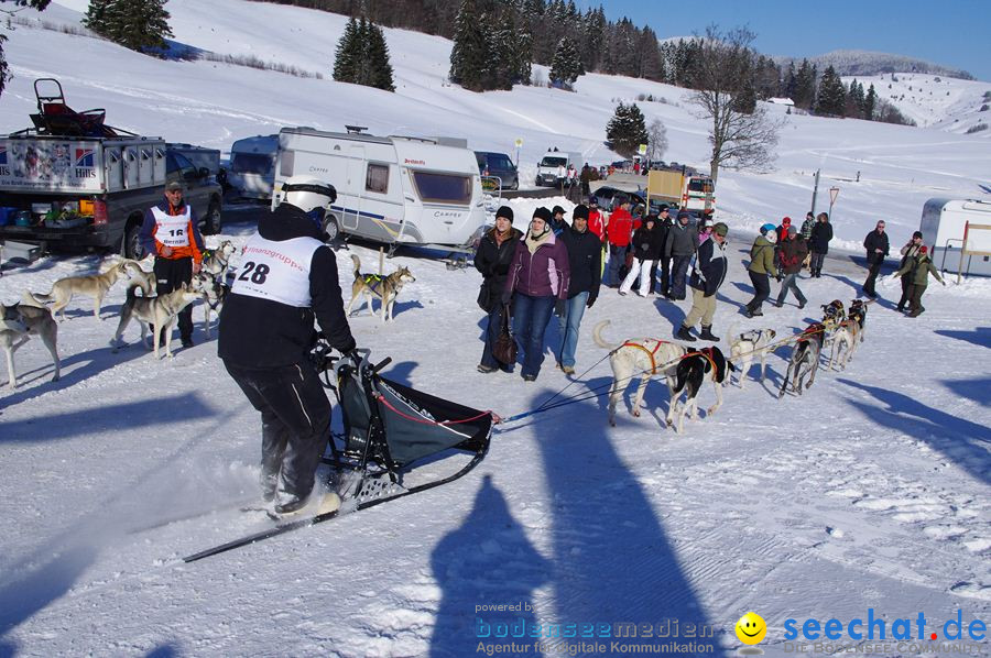 Schlittenhunderennen 2012: Bernau im Schwarzwald, 04.02.2012