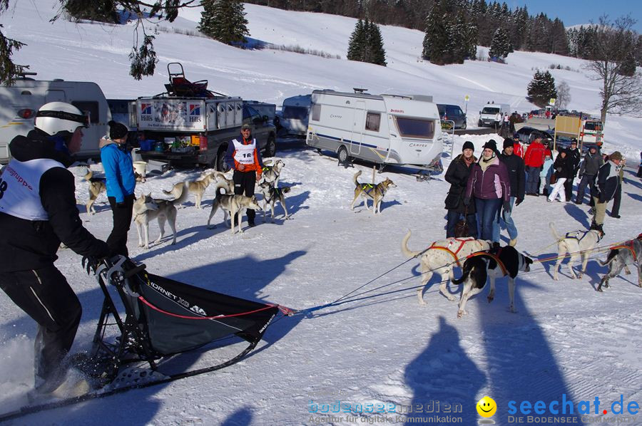 Schlittenhunderennen 2012: Bernau im Schwarzwald, 04.02.2012