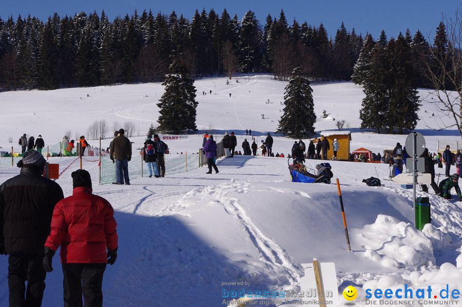 Schlittenhunderennen 2012: Bernau im Schwarzwald, 04.02.2012