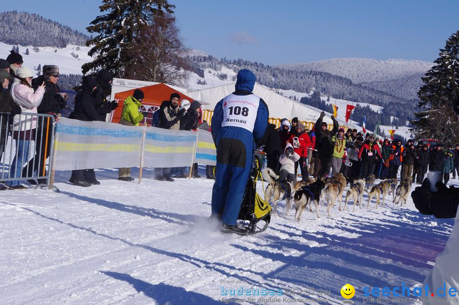 Schlittenhunderennen 2012: Bernau im Schwarzwald, 04.02.2012