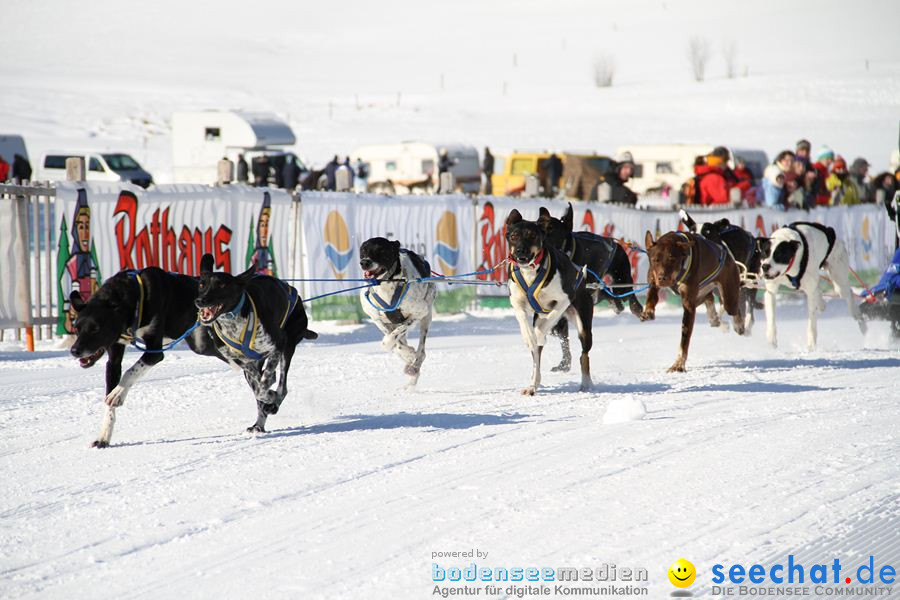 Schlittenhunderennen 2012: Bernau im Schwarzwald, 04.02.2012