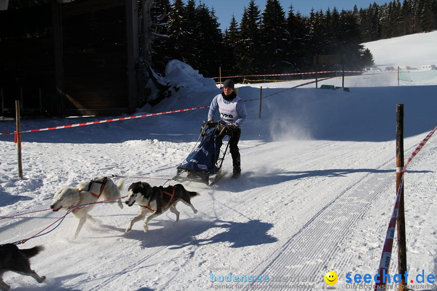 Schlittenhunderennen 2012: Bernau im Schwarzwald, 04.02.2012