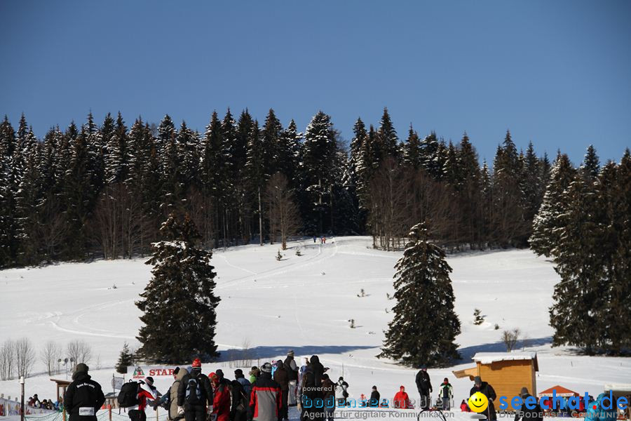 Schlittenhunderennen 2012: Bernau im Schwarzwald, 04.02.2012