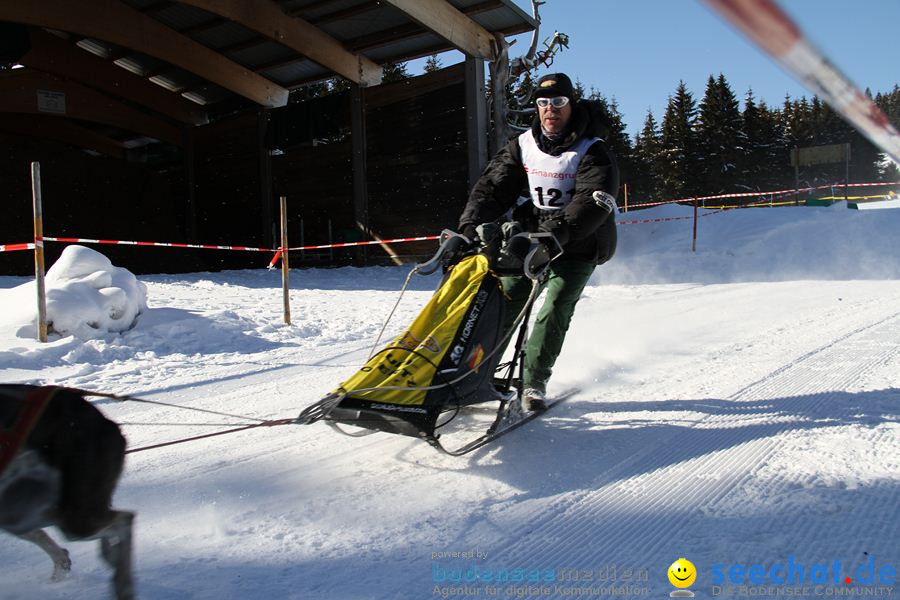 Schlittenhunderennen 2012: Bernau im Schwarzwald, 04.02.2012