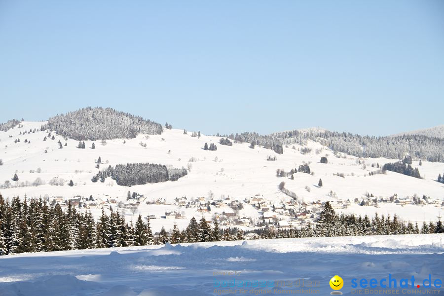 Schlittenhunderennen 2012: Bernau im Schwarzwald, 04.02.2012