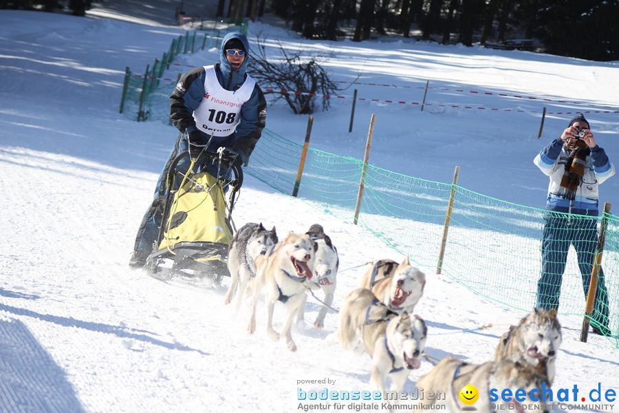 Schlittenhunderennen 2012: Bernau im Schwarzwald, 04.02.2012