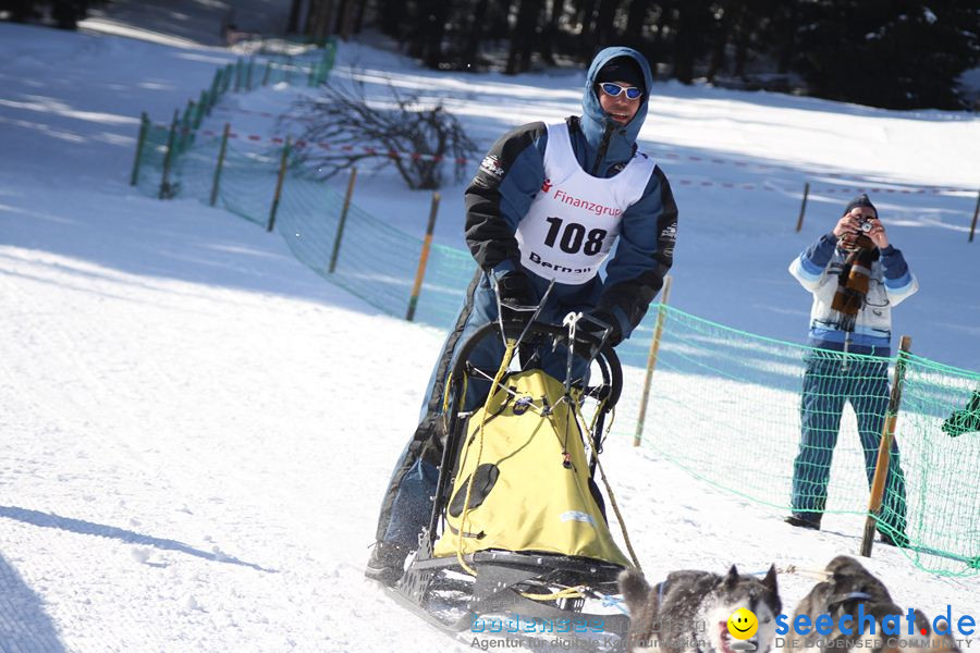 Schlittenhunderennen 2012: Bernau im Schwarzwald, 04.02.2012