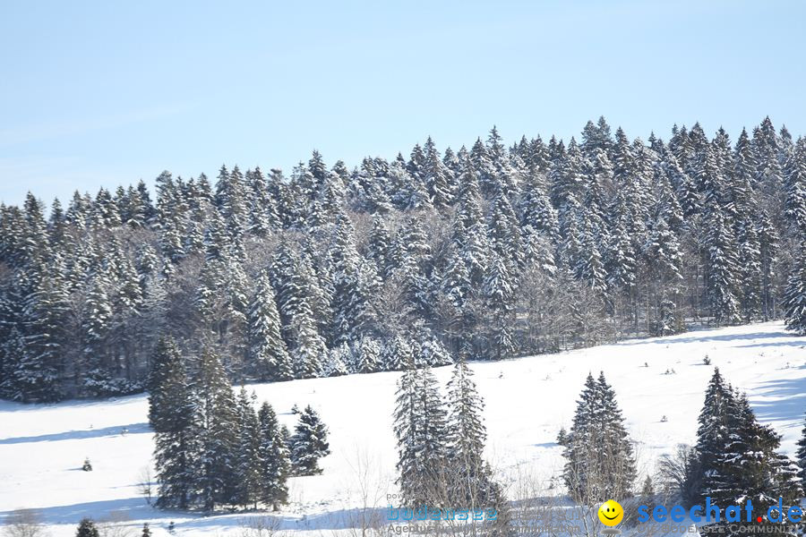 Schlittenhunderennen 2012: Bernau im Schwarzwald, 04.02.2012