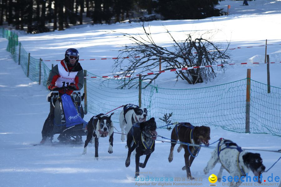 Schlittenhunderennen 2012: Bernau im Schwarzwald, 04.02.2012