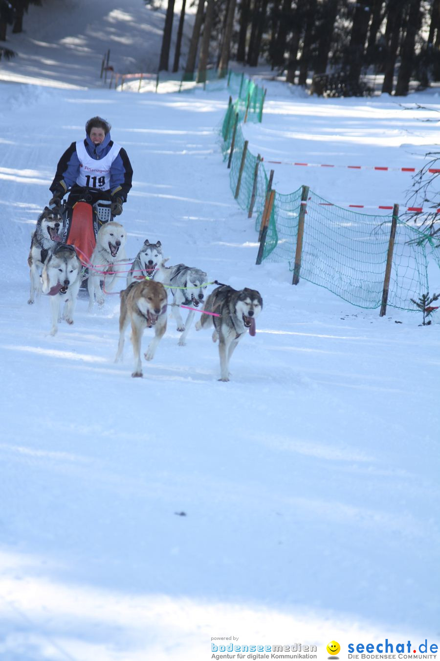 Schlittenhunderennen 2012: Bernau im Schwarzwald, 04.02.2012