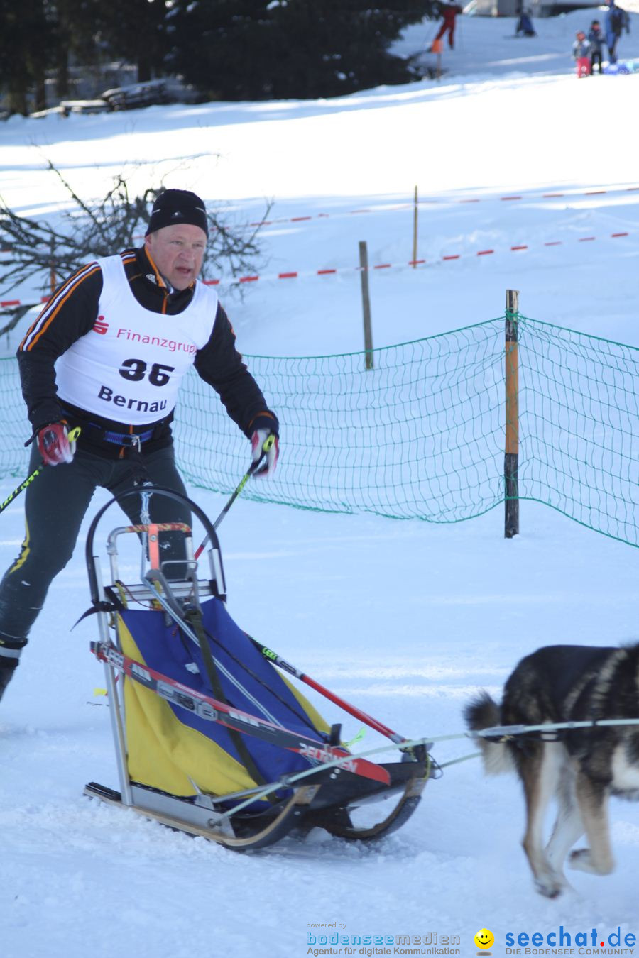 Schlittenhunderennen 2012: Bernau im Schwarzwald, 04.02.2012