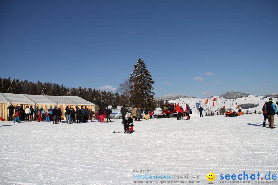 Schlittenhunderennen 2012: Bernau im Schwarzwald, 04.02.2012