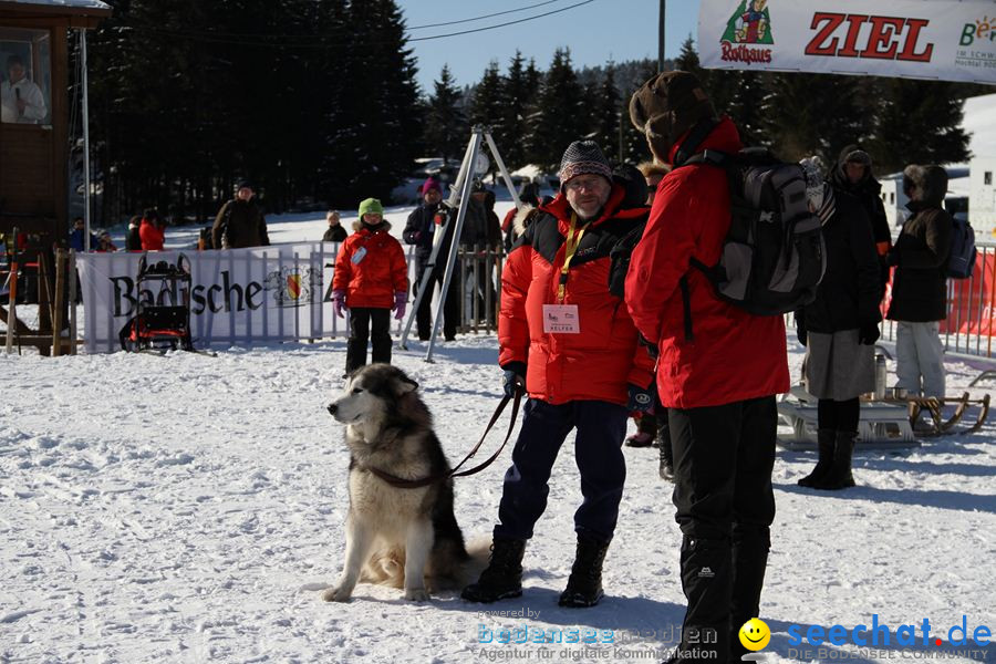 Schlittenhunderennen 2012: Bernau im Schwarzwald, 04.02.2012