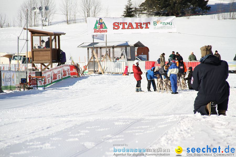 Schlittenhunderennen 2012: Bernau im Schwarzwald, 04.02.2012