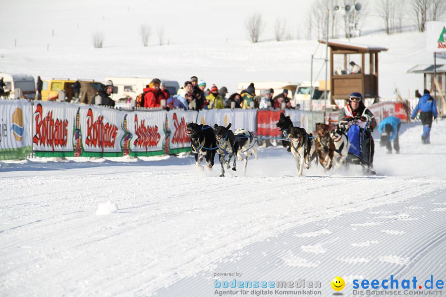 Schlittenhunderennen 2012: Bernau im Schwarzwald, 04.02.2012