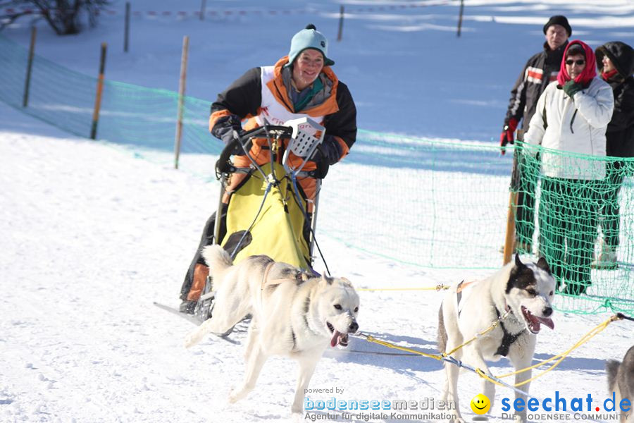 Schlittenhunderennen 2012: Bernau im Schwarzwald, 04.02.2012