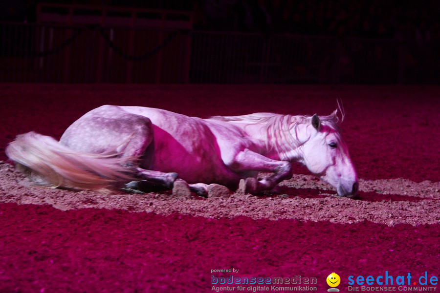 GALA: Im Takt der Pferde - PFERD BODENSEE: Friedrichshafen, 10.02.2012