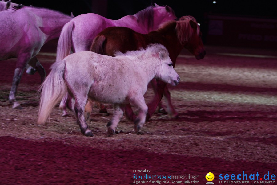 GALA: Im Takt der Pferde - PFERD BODENSEE: Friedrichshafen, 10.02.2012