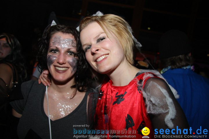 Stierball 2009