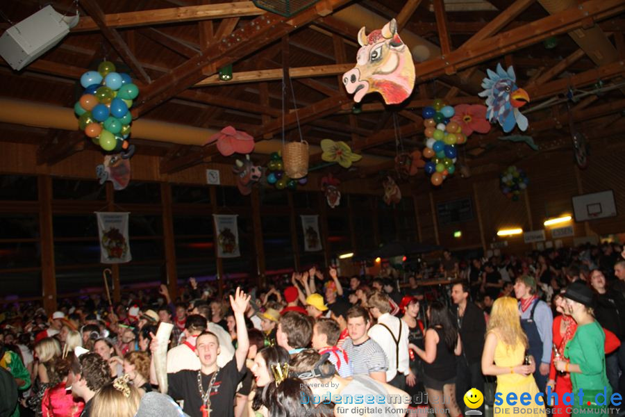 STIERBALL 2012 mit CRASH, YETIS und BAD BULLS: Wahlwies am Bodensee, 17.02.