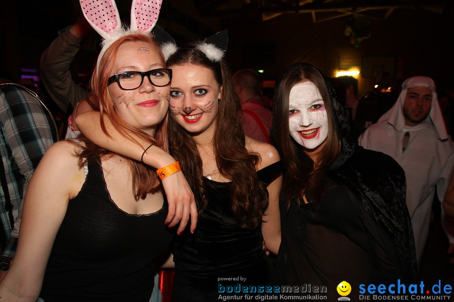 STIERBALL 2012 mit CRASH, YETIS und BAD BULLS: Wahlwies am Bodensee, 17.02.