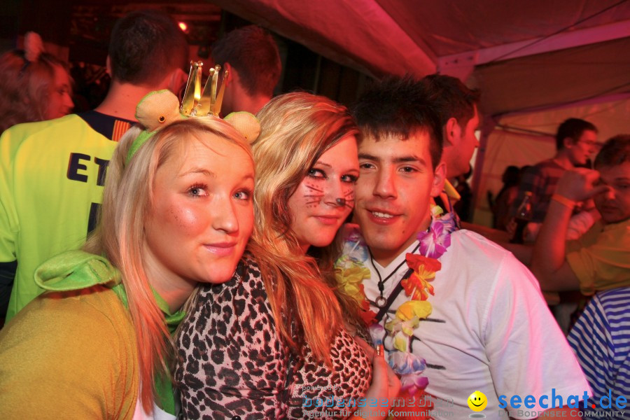 STIERBALL 2012 mit CRASH, YETIS und BAD BULLS: Wahlwies am Bodensee, 17.02.