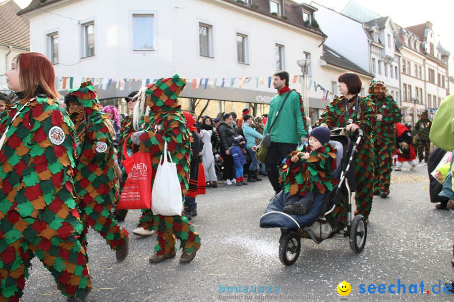 Kinderumzug - Fasnetsumzug: Singen am Bodensee, 18.02.2012