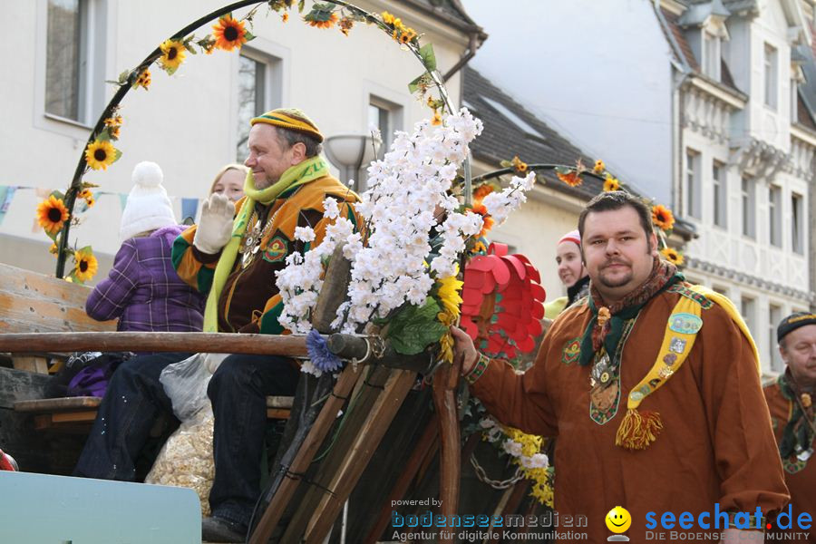 Kinderumzug - Fasnetsumzug: Singen am Bodensee, 18.02.2012