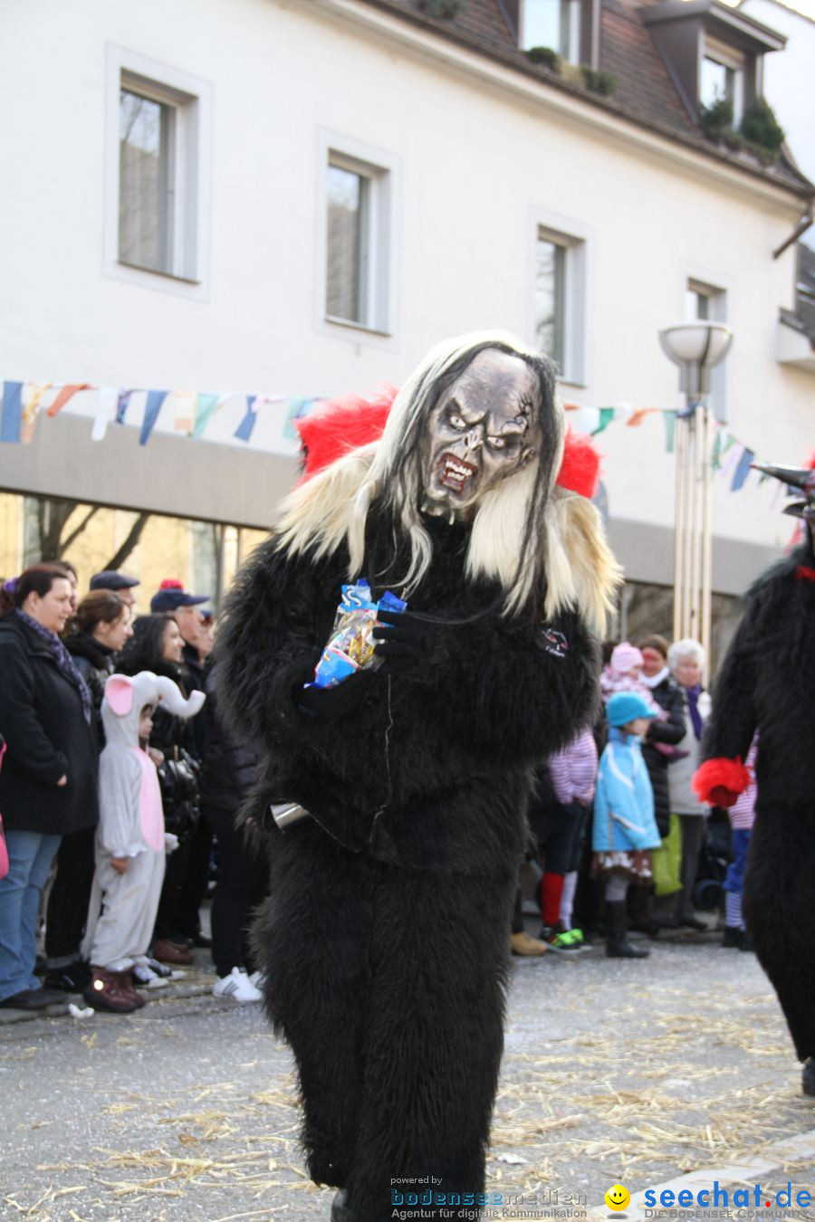 Kinderumzug - Fasnetsumzug: Singen am Bodensee, 18.02.2012