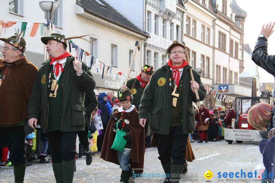 Kinderumzug - Fasnetsumzug: Singen am Bodensee, 18.02.2012