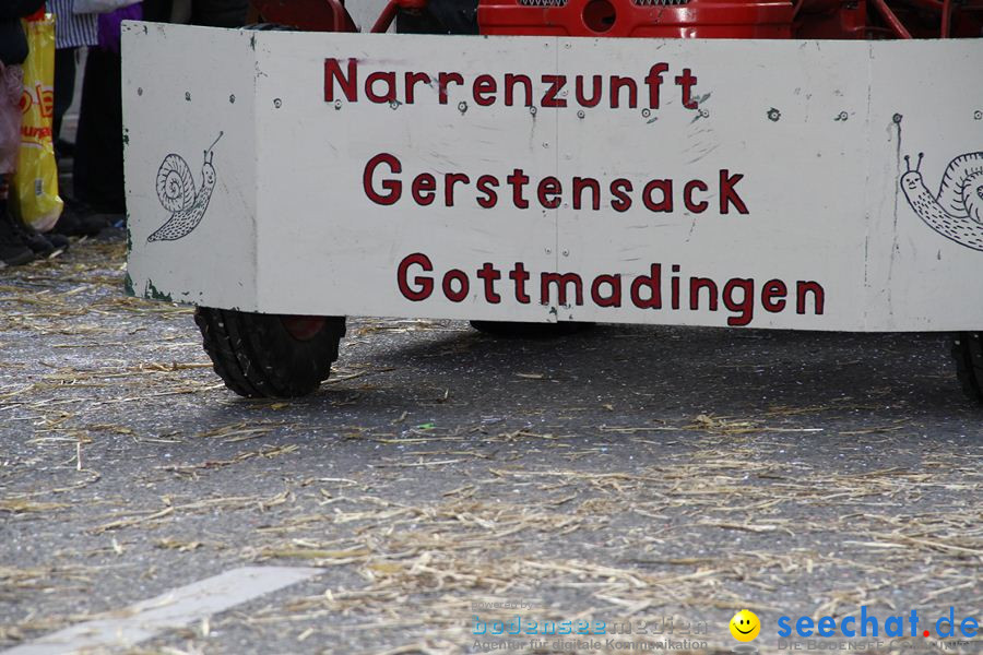 Kinderumzug - Fasnetsumzug: Singen am Bodensee, 18.02.2012