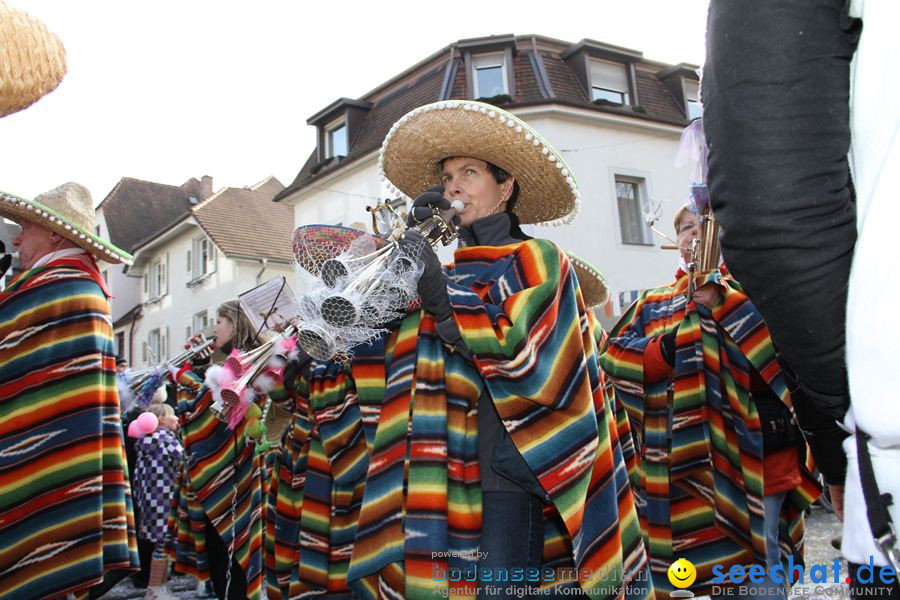 Kinderumzug - Fasnetsumzug: Singen am Bodensee, 18.02.2012