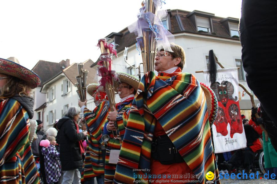 Kinderumzug - Fasnetsumzug: Singen am Bodensee, 18.02.2012