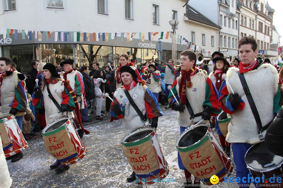 Kinderumzug - Fasnetsumzug: Singen am Bodensee, 18.02.2012