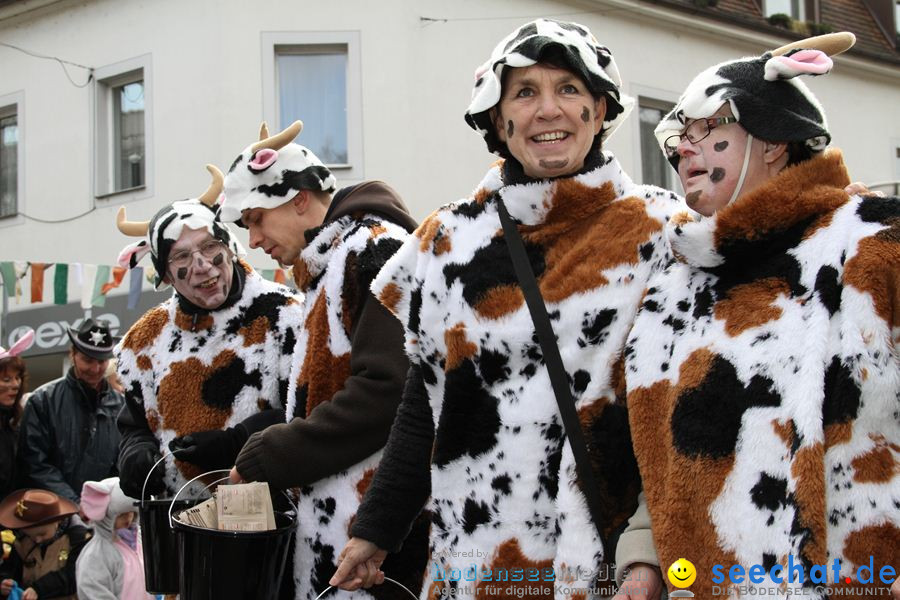 Kinderumzug - Fasnetsumzug: Singen am Bodensee, 18.02.2012