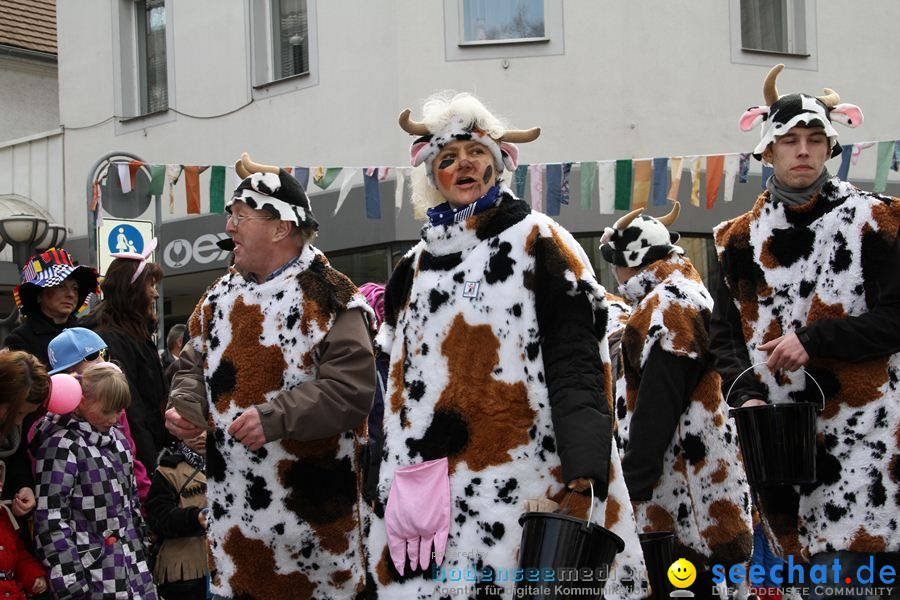 Kinderumzug - Fasnetsumzug: Singen am Bodensee, 18.02.2012